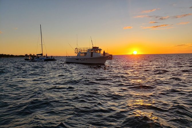 Manta Ray Night Snorkel in Kona - Who should book this Kona night snorkel