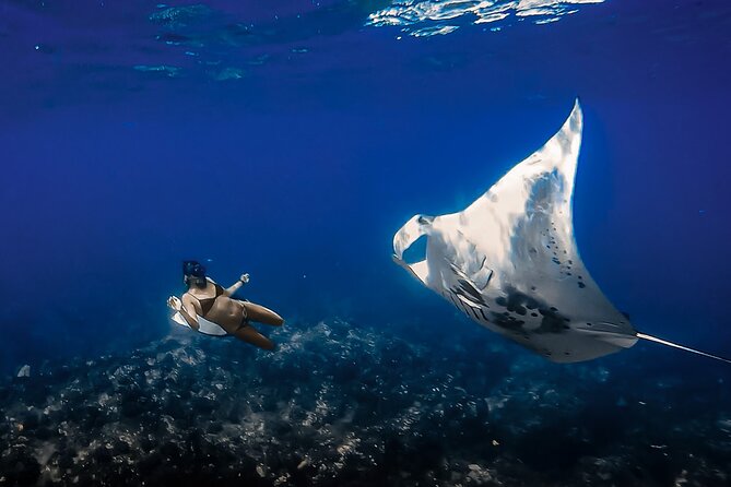 Manta Ray Night Snorkel Tour in Kailua-Kona, Big Island - The sunset cruise to Manta Ray Heaven
