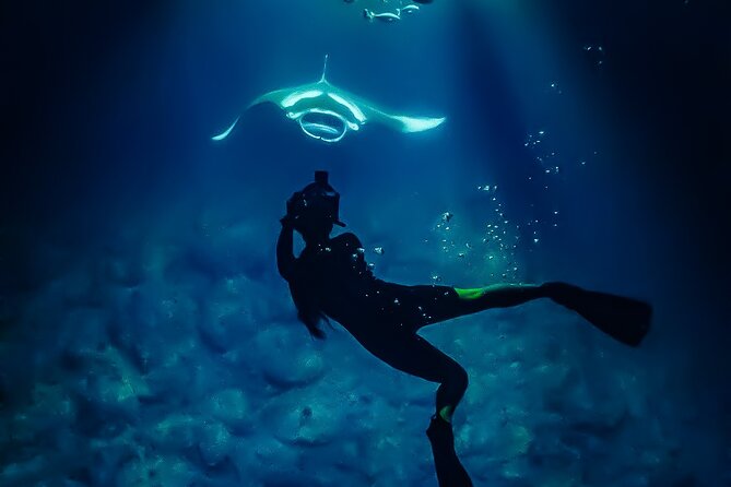 Manta Ray Night Snorkel Tour in Kailua-Kona, Big Island - Returning under the stars with cocoa and photos