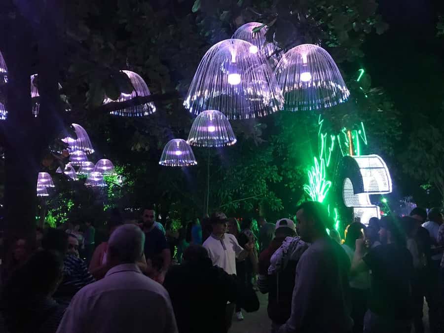 Medellin Christmas Lights Tour - Booking, cancellation, and practical details