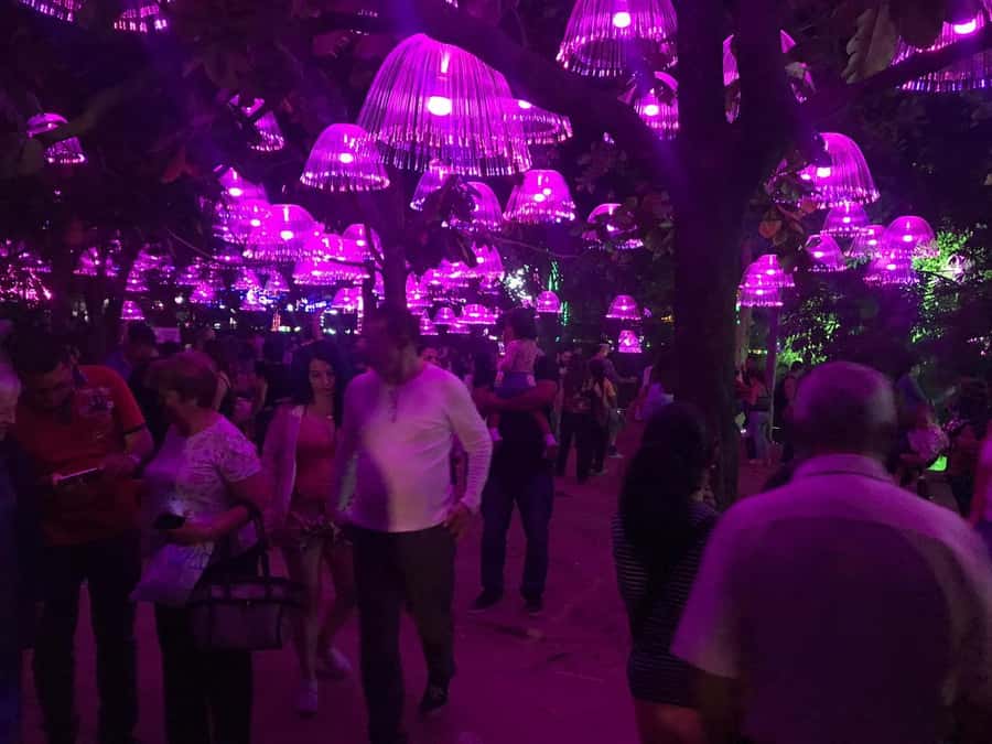 Medellin Christmas Lights Tour - Why Medellin’s Christmas lights matter