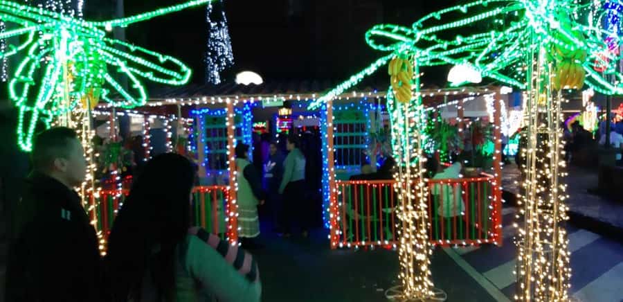 Medellin Christmas Lights Tour - Timing, traffic, and comfort