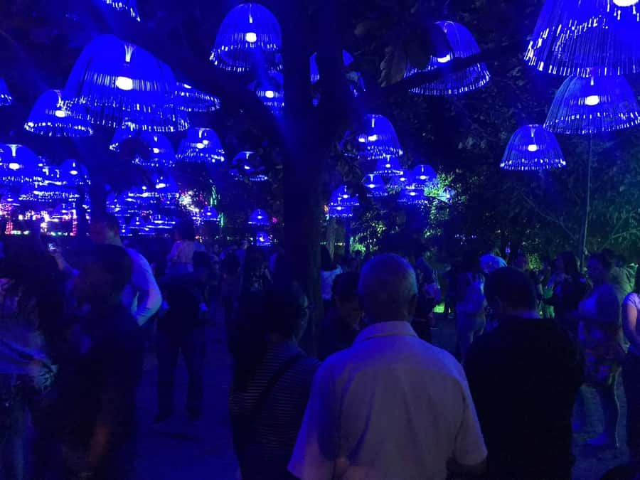 Medellin Christmas Lights Tour - Who will get the most from this tour