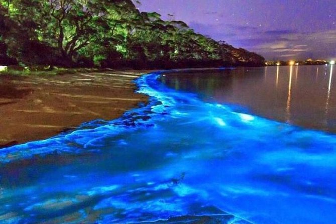 Mesmerizing Luminous Lagoon (Glistening Waters) Night Tour - Key things to know before booking