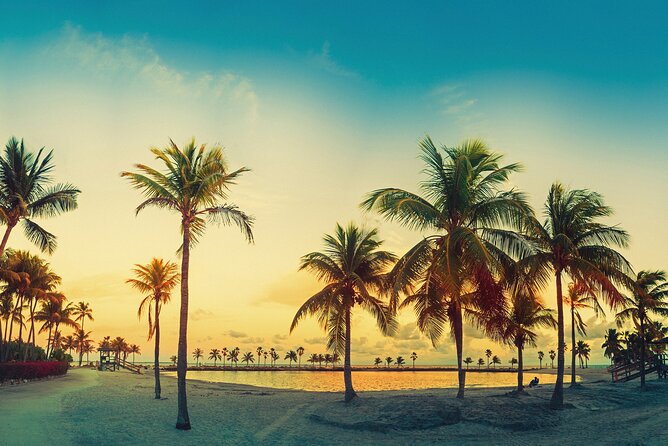 Miami: Open-top Bus Sightseeing Night Tour with Live Guide - MacArthur Causeway and the Port of Miami