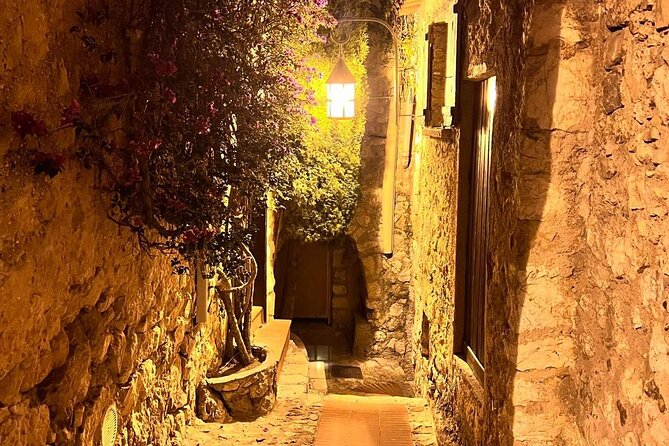 Monaco by Night Private Tour - How personal is the private format?
