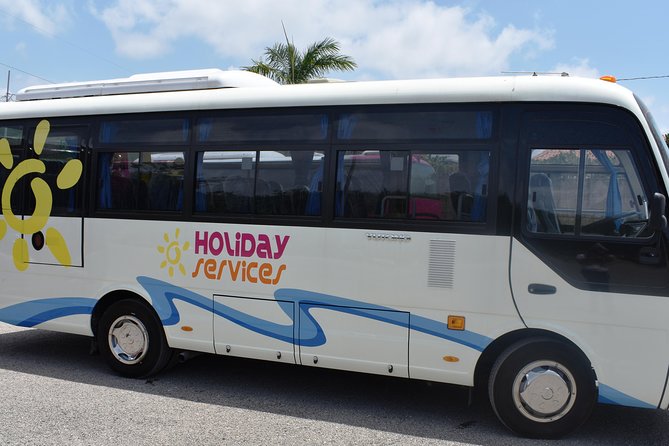 Mystic Luminescent Lagoon Night Cruise & Swim in Jamaica - Timing, Weather, and Cancellation Rules