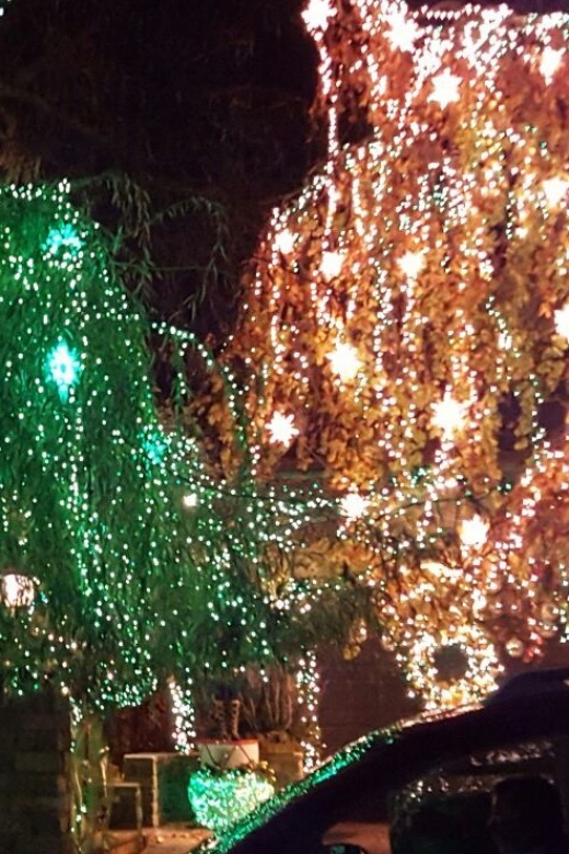 New York City: Dyker Heights Christmas Lights Tour - Guides who shape the experience
