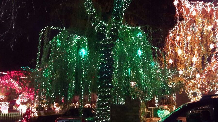 New York City: Dyker Heights Christmas Lights Tour - Starting in Midtown and crossing to Brooklyn