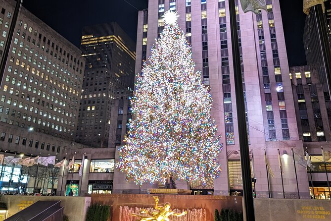 New York City Holiday Lights Tour - Key points to know before booking