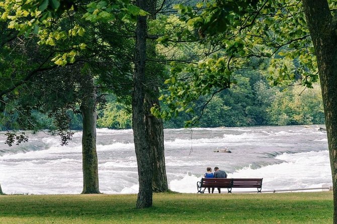 Niagara Falls Day and Evening Tour With Boat Cruise & Dinner (optional) - What this Toronto to Niagara Falls tour is really like
