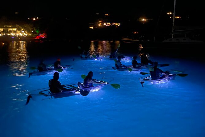 Night Kayak Tour St. John - Westin Resort - What makes this night paddle worth considering