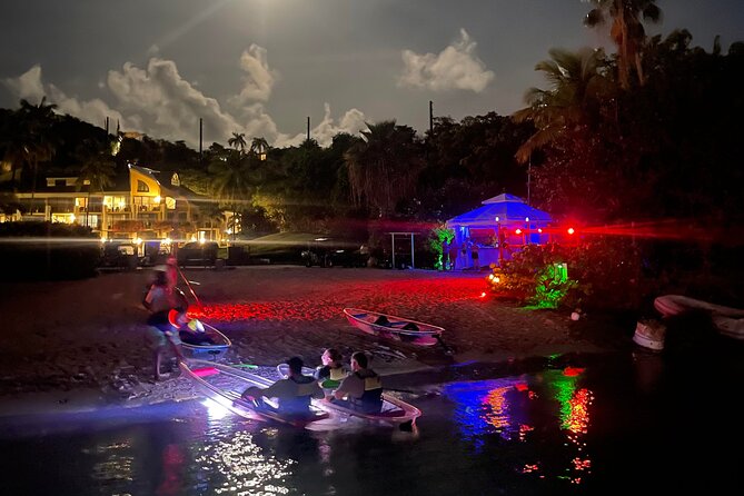 Night Kayak Tour St. John - Westin Resort - Who will enjoy this most