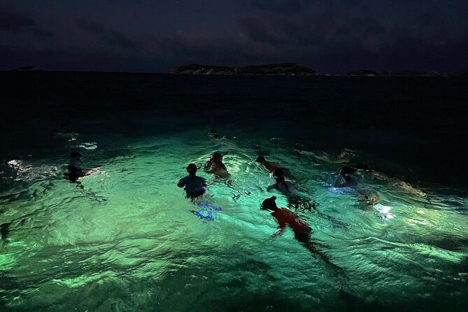 Night-Time Snorkel at TurtleTown with Stars, Lights, and Photos - The daylight start helps you get comfortable