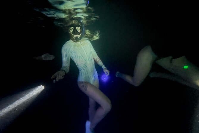 Night-Time Snorkel at TurtleTown with Stars, Lights, and Photos - The guides shape the whole evening