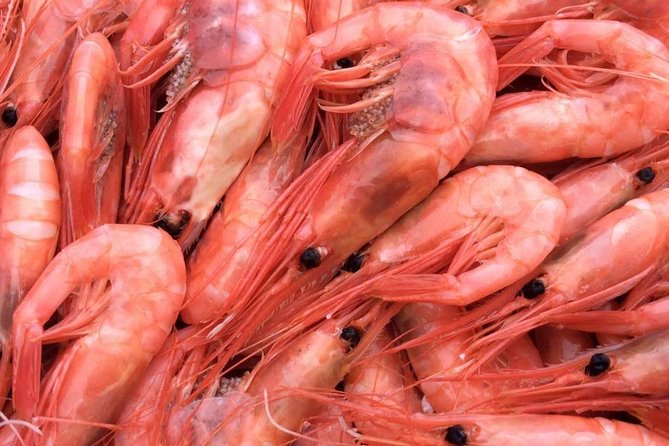 Oslo Fjord Evening Cruise with Shrimp Buffet on a Sailing Ship - Who will enjoy this Oslofjord cruise most?