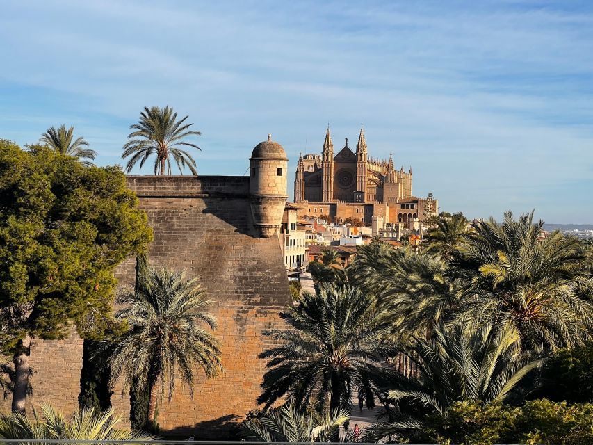 Palma de Mallorca: Old Town Atmospheric Evening Tour - Palma Cathedral and the waterfront at night