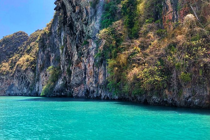 Phang Nga Bay Private Bioluminescence and Sea Canoeing Tour - Searching for glowing water after dark