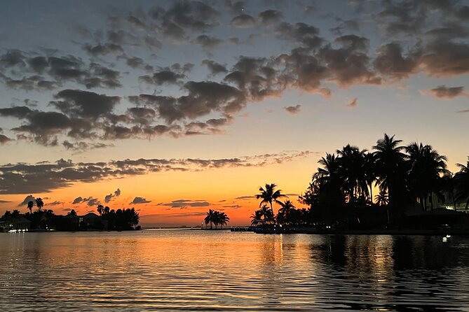 Private: Bioluminescence Tour - Why Grand Cayman’s glowing water is worth seeing