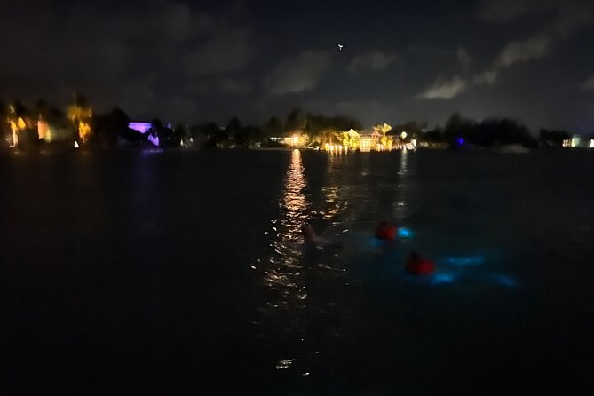 Private: Bioluminescence Tour - Entering Bioluminescent Bay for the one-hour water stop