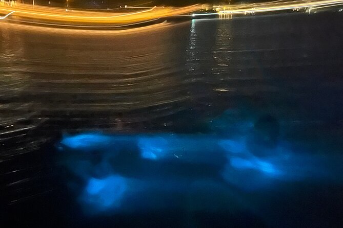 Private: Bioluminescence Tour - What the $599 price really gets you
