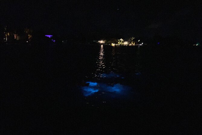 Private: Bioluminescence Tour - Choose your date with the moon in mind