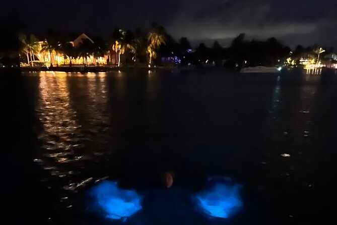 Private: Bioluminescence Tour - Who will enjoy this private night cruise