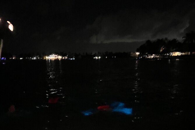 Private: Bioluminescence Tour - Booking, weather, and cancellation details