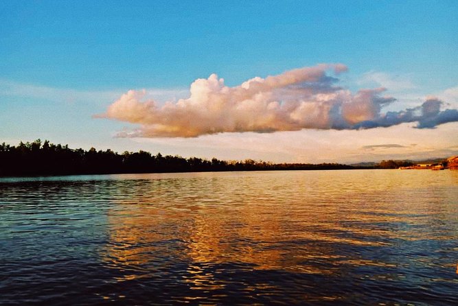 Proboscis Monkey and Fireflies River Cruise - Why Weston makes this a worthwhile evening trip