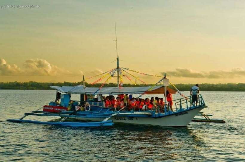 Puerto Princesa: Firefly Watching Bay Cruise with Dinner - What to bring and what to leave behind