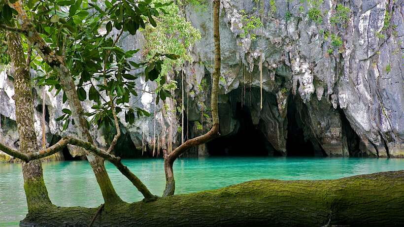 Puerto Princesa: Underground River and Firefly Watching Tour - The afternoon break is useful, but not exciting