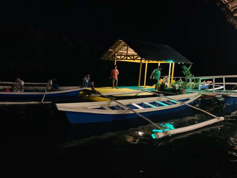 Puerto Princesa: Underground River and Firefly Watching Tour - Fireflies and plankton make a gentle finish