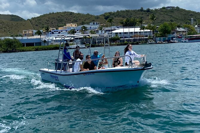 Puerto Rico: Bio Bay Swim and Sunset Charter or Late night tour - Why swimming makes this La Parguera tour different