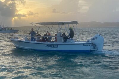 Puerto Rico: Bio Bay Swim and Sunset Charter or Late night tour