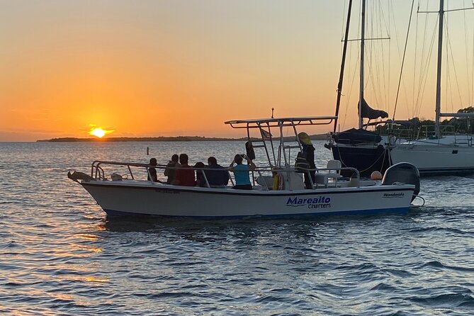 Puerto Rico: Bio Bay Swim and Sunset Charter or Late night tour - Price, group size, and the real value