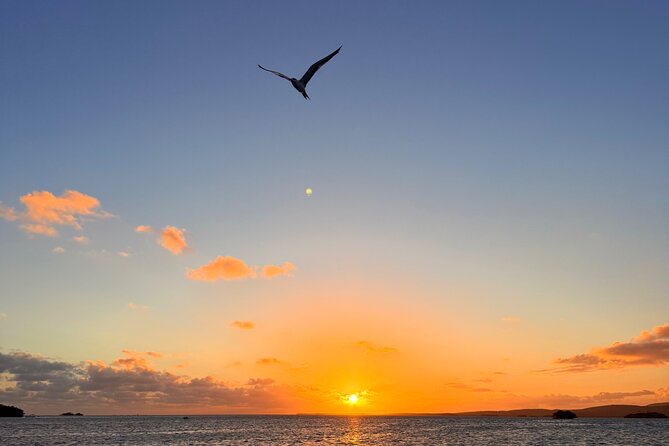 Puerto Rico: Bio Bay Swim and Sunset Charter or Late night tour - What to pack for a better evening