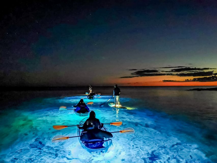 Pula: Night-Time Sea Kayaking Tour in Transparent Kayak - Looking below the kayak for fish and sea life