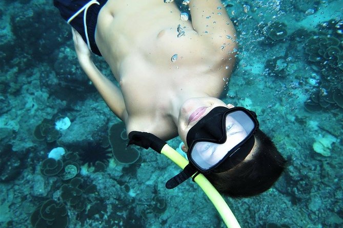 Railay and 4-Island Sunset Speedboat Cruise with Night Snorkel - The night snorkel and glowing plankton