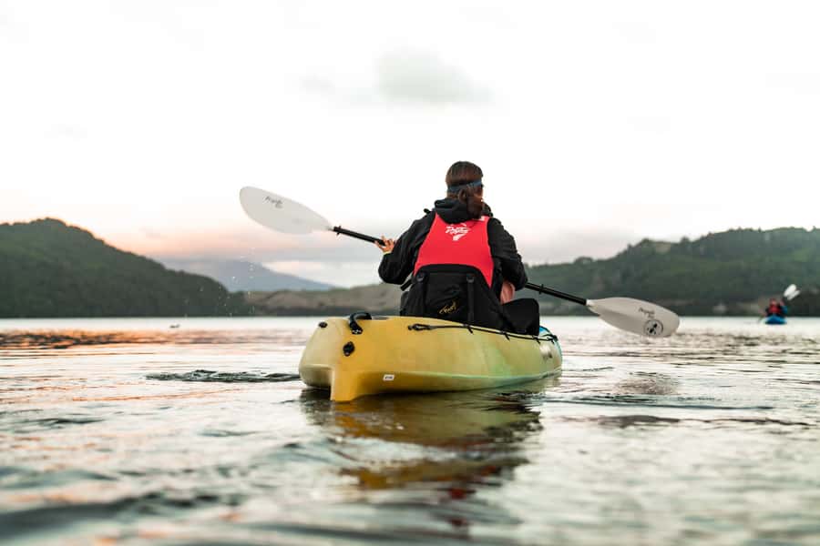 Rotorua: Glow Worm Kayak Tour - Is $116 good value?