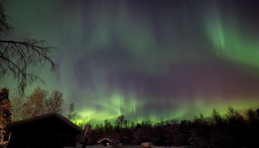 Rovaniemi: Apukka Reindeer Sleigh Ride at Night - Key points at a glance