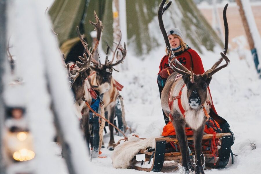 Rovaniemi: Apukka Reindeer Sleigh Ride at Night - A silent ride into the Finnish forest
