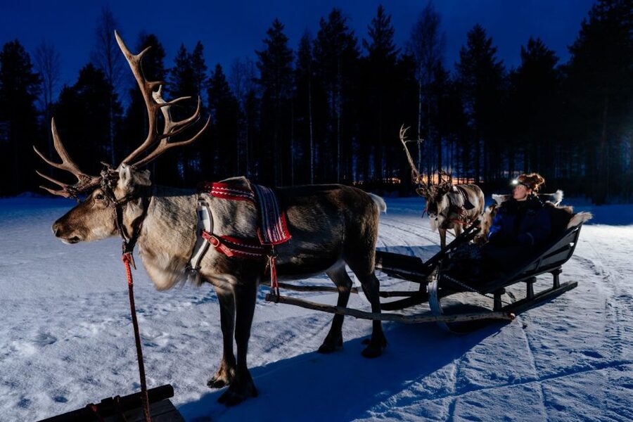 Rovaniemi: Apukka Reindeer Sleigh Ride at Night - The hut, bonfire, and local Lapland stories