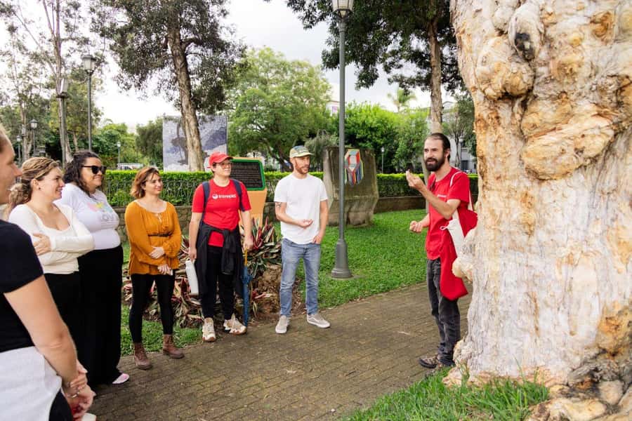 San José: Night Food and Culture Tour with Dinner - Dinner at Agüizotes Gastro Pub