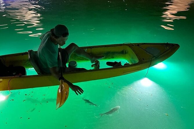 Sharkeys Glass Bottom Fish Feeding LED Night Tour St. Pete Beach - A glowing start on St. Pete Beach