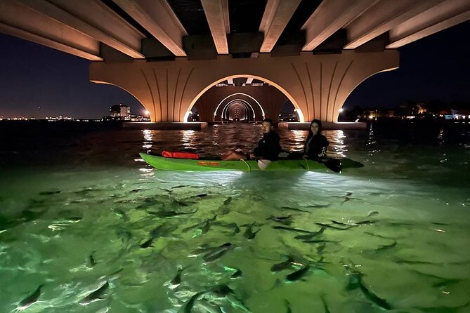 Sharkeys Glass Bottom Fish Feeding LED Night Tour St. Pete Beach - Under the Pinellas Bayway Bridge