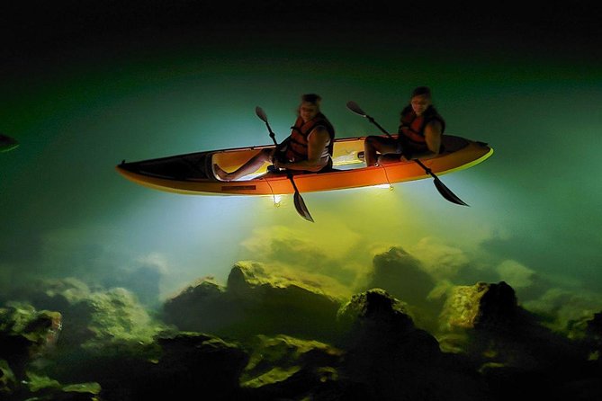 Sharkeys Glass Bottom Fish Feeding LED Night Tour St. Pete Beach - What the $62 price includes
