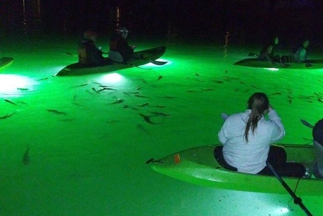 Sharkeys Glass Bottom Fish Feeding LED Night Tour St. Pete Beach - When weather and tides change the plan