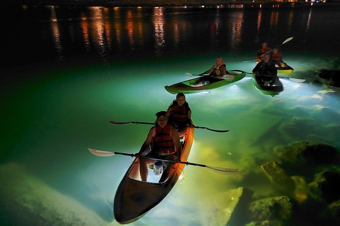 Sharkeys Glass Bottom Fish Feeding LED Night Tour St. Pete Beach - Mangrove island and the night birds