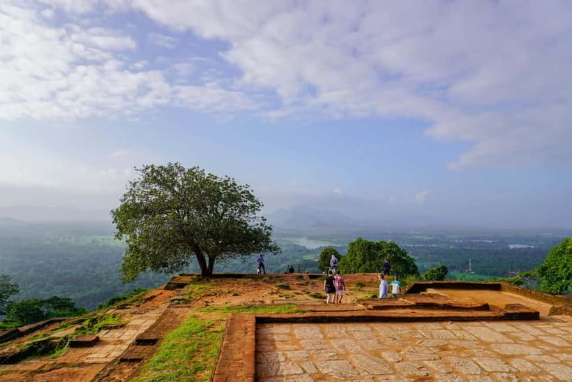 Sigiriya Lion Rock & Evening Safari Full Day Private Tour - What an elephant safari can really feel like