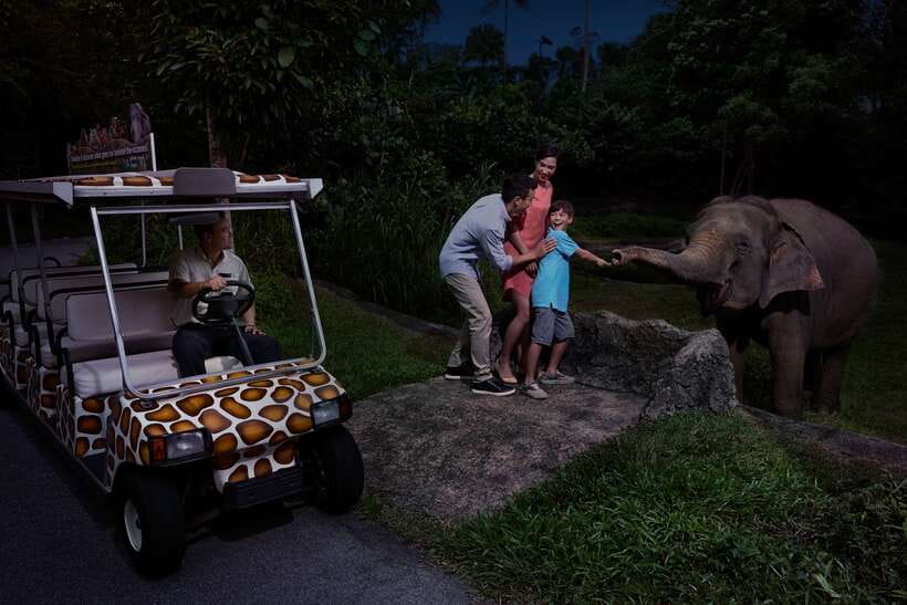 Singapore: Night Safari Entry Ticket with Tram Ride - A wildlife park that changes after sunset